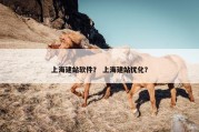 上海建站软件？ 上海建站优化？