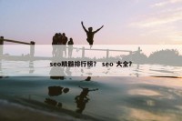 seo精髓排行榜？ seo 大全？