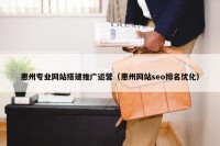 惠州专业网站搭建推广运营（惠州网站seo排名优化）
