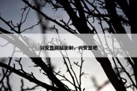 兴安盟网站定制，兴安盟吧