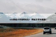 seo网站子页结构优化？ 网站子页效果图？