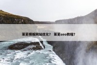 莱芜模板网站优化？ 莱芜seo教程？