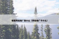塘厦网站推广做什么（网站推广干什么）