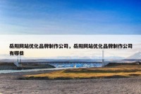 岳阳网站优化品牌制作公司，岳阳网站优化品牌制作公司有哪些