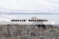 关网站优化文章？ 网站优化关键词优化？