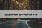 重庆招聘网站哪个好（重庆市的招聘网站哪个可靠）