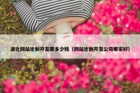 湖北网站定制开发要多少钱（网站定制开发公司哪家好）