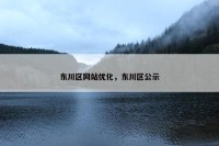 东川区网站优化，东川区公示