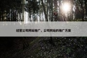 经营公司网站推广，公司网站的推广方案