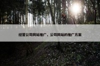 经营公司网站推广，公司网站的推广方案