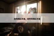 池州网红沙滩，池州市网红沙滩