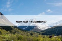 海口seo实战（海口企业做网站）