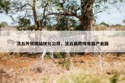 沈丘外贸网站优化公司，沈丘县跨境电商产业园