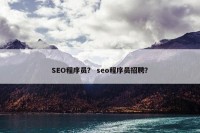 SEO程序员？ seo程序员招聘？