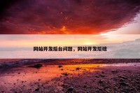 网站开发后台问题，网站开发后端