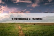 德州哪家精美网站定制（德州哪里有）