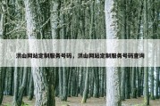 洪山网站定制服务号码，洪山网站定制服务号码查询