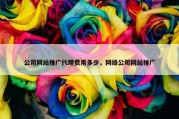 公司网站推广代理费用多少，网络公司网站推广