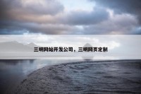 三明网站开发公司，三明网页定制