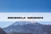 西部数码服务器怎么样，西部数码服务器托管