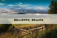 莆田seo技术外包，莆田app外包
