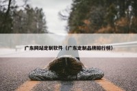 广东网站定制软件（广东定制品牌排行榜）