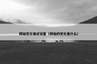 网站优化描述设置（网站的优化是什么）