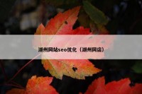 湖州网站seo优化（湖州网店）