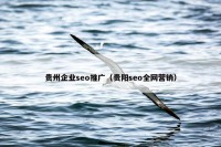 贵州企业seo推广（贵阳seo全网营销）