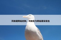 河南建网站定制，河南实力网站建设首选