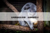 沧州网站优化价格？ 沧县网站优化？
