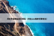 河北专业网站优化排名（河北seo搜索引擎优化）
