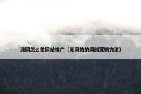 没网怎么做网站推广（无网站的网络营销方法）