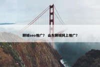 聊城seo推广？ 山东聊城网上推广？