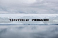 专业网站定制排名前十（定制网站设计公司）