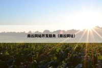 商丘网站开发服务（商丘网址）