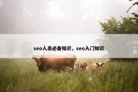 seo人员必备知识，seo入门知识