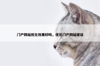 门户网站优化效果好吗，优化门户网站建设