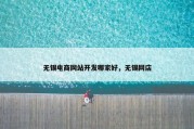 无锡电商网站开发哪家好，无锡网店