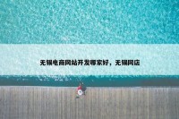 无锡电商网站开发哪家好，无锡网店