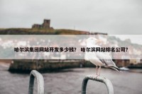哈尔滨集团网站开发多少钱？ 哈尔滨网站排名公司？