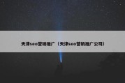 天津seo营销推广（天津seo营销推广公司）