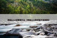 网站seo主要做什么（网站seo技术能不能赚钱）