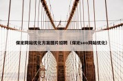保定网站优化方案图片招聘（保定seo网站优化）