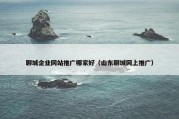 聊城企业网站推广哪家好（山东聊城网上推广）