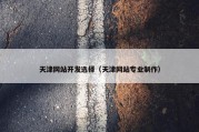 天津网站开发选择（天津网站专业制作）