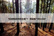 专业网站如何优化推广？ 网站推广优化方法？