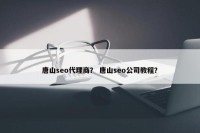 唐山seo代理商？ 唐山seo公司教程？