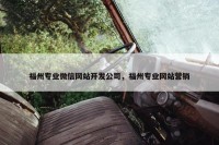 福州专业微信网站开发公司，福州专业网站营销