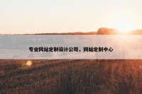 专业网站定制设计公司，网站定制中心